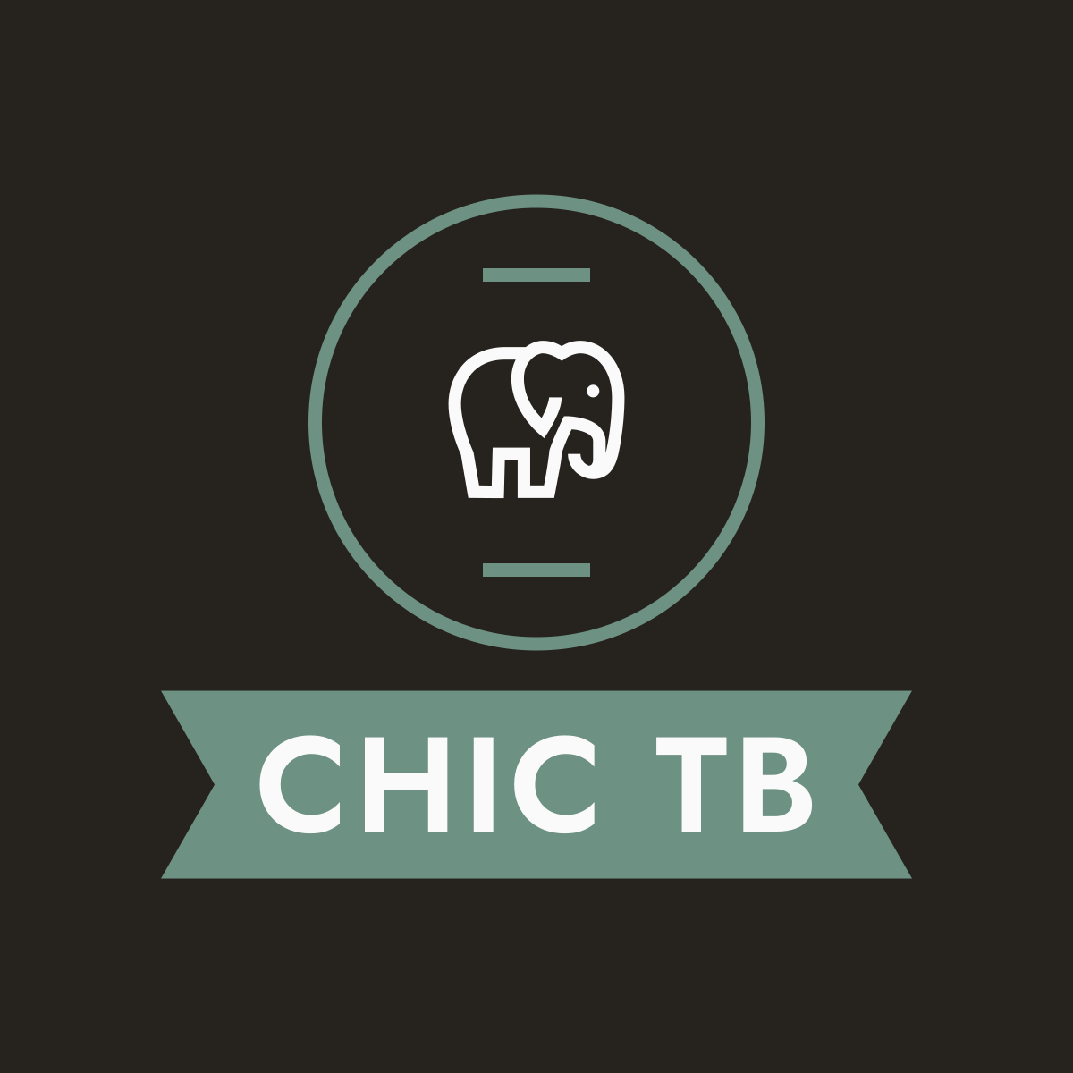 HOME PAGE - CHIC TB