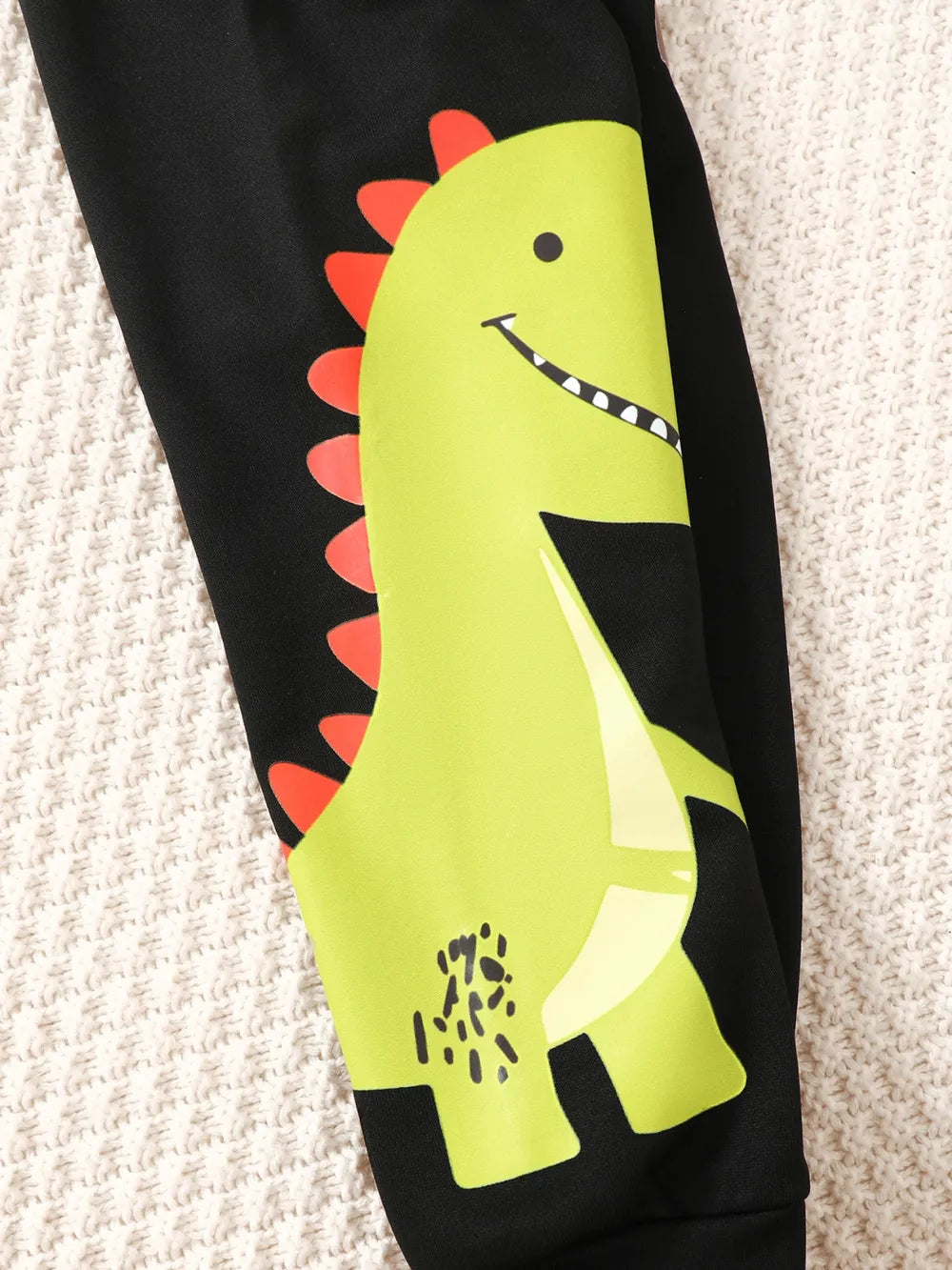 Children's Dinosaur Graphic Sweatshirt and Pants Set.