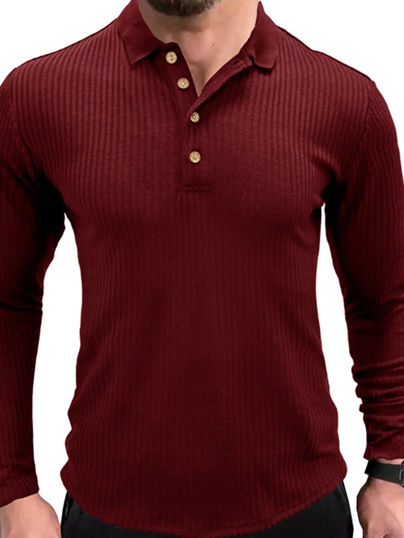 Men's Ribbed Knit Long Sleeve Polo.