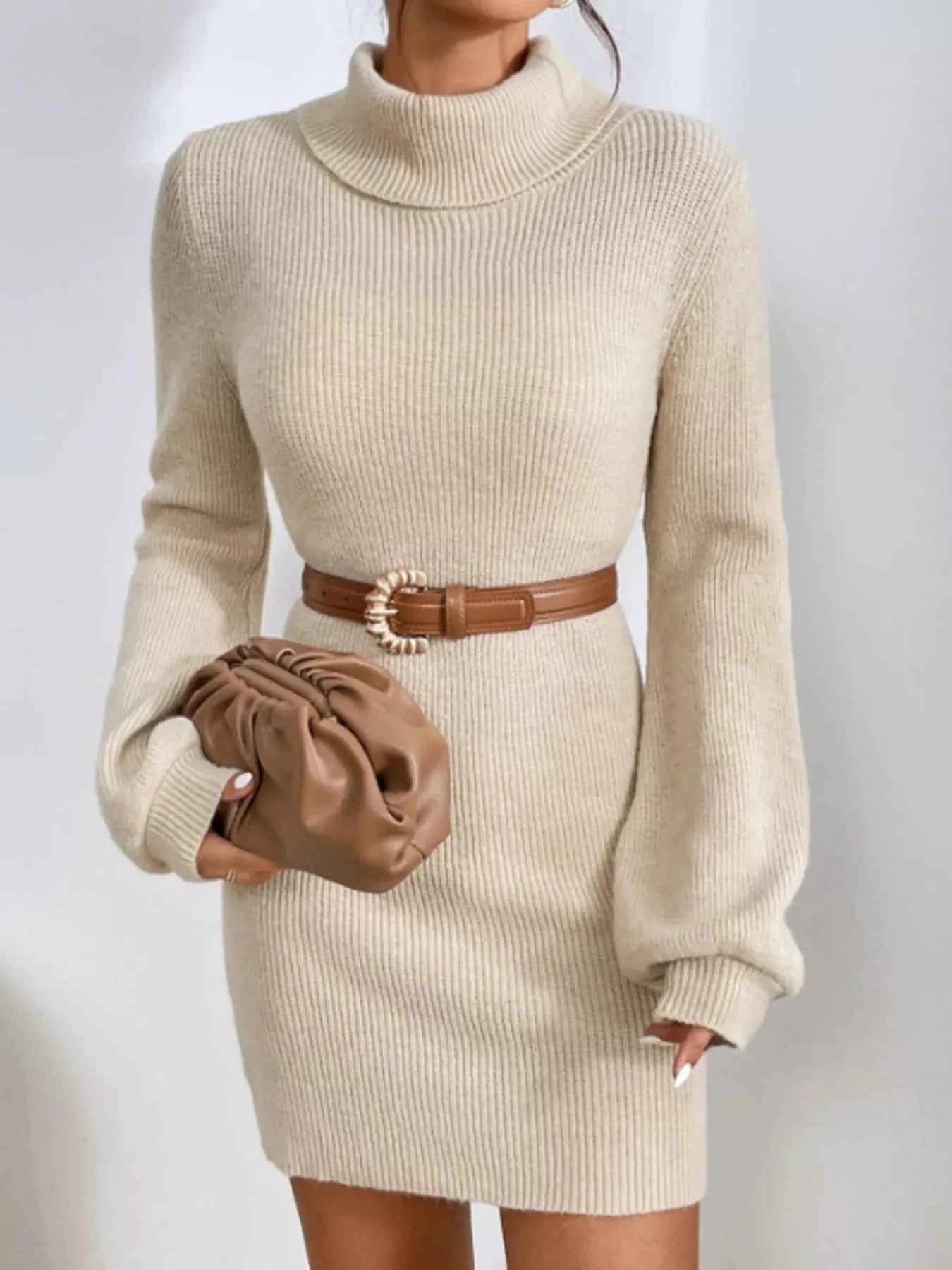 Turtleneck Ribbed Knit Sweater Dress