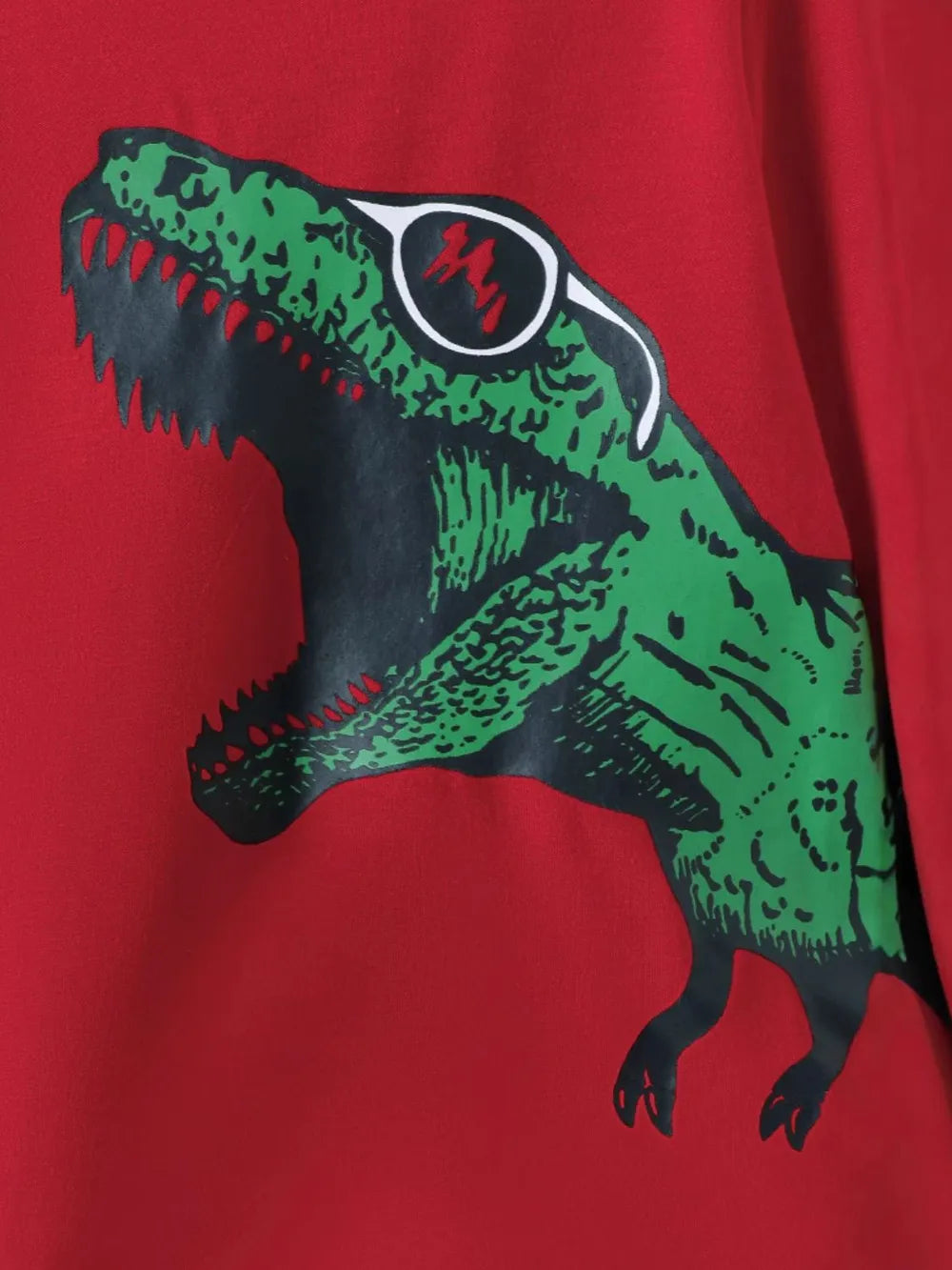 Dinosaur Round Neck Long Sleeve Top and Distressed Pants Set.