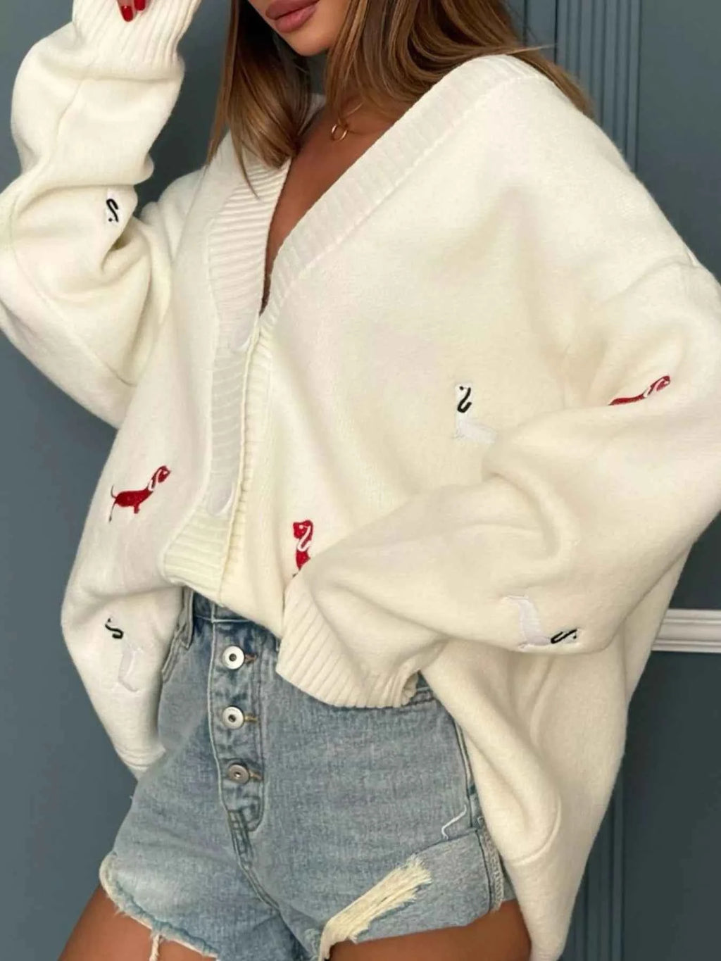 Embroidered Button Up Cardigan