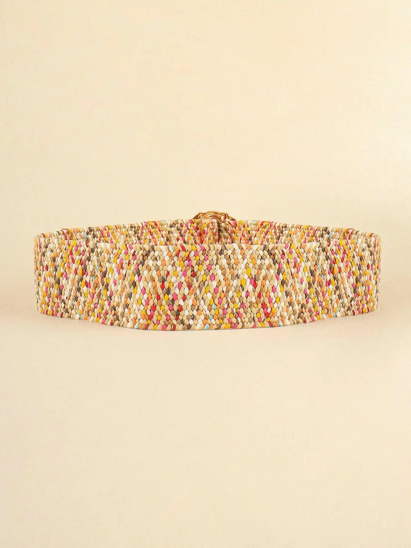 Multicolored Wide Belt.
