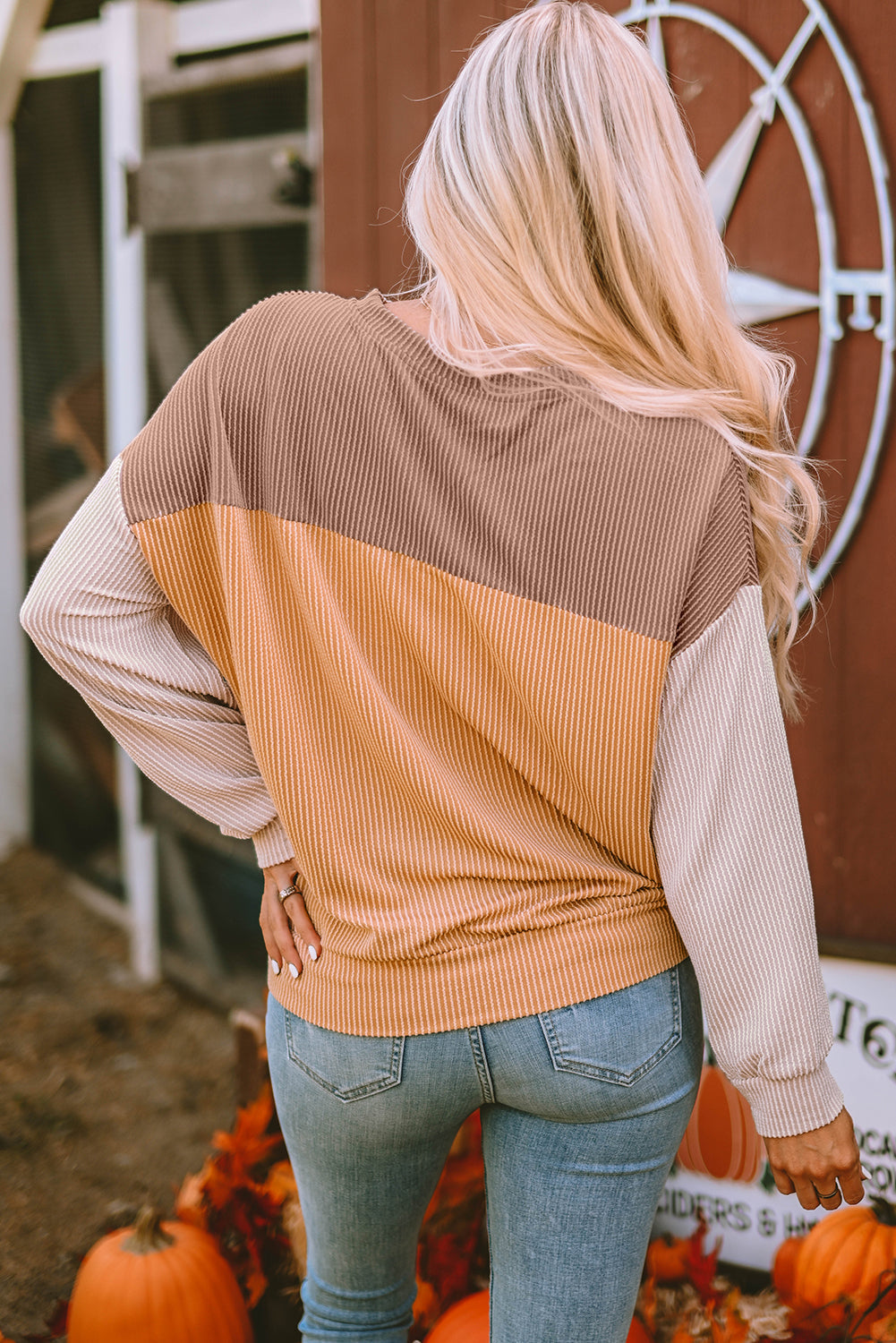 Khaki Color Block Long Sleeve Ribbed Loose Top Dear-Lover Dropshipping