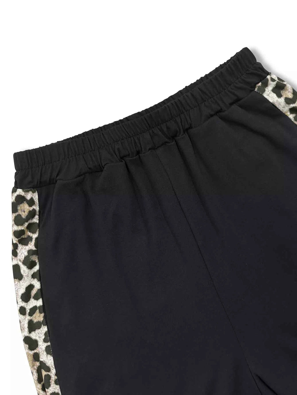 Leopard Print Top and Pants Set