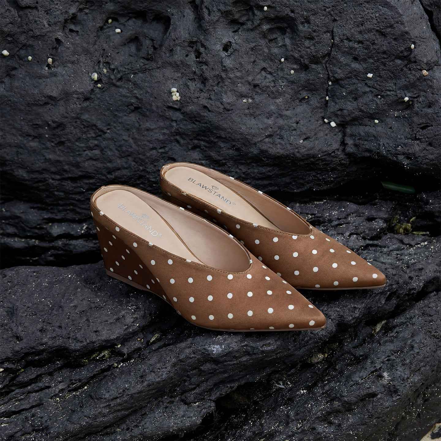 Elegant And Classic Polka-dot Wedge-pointed-toe Pumps