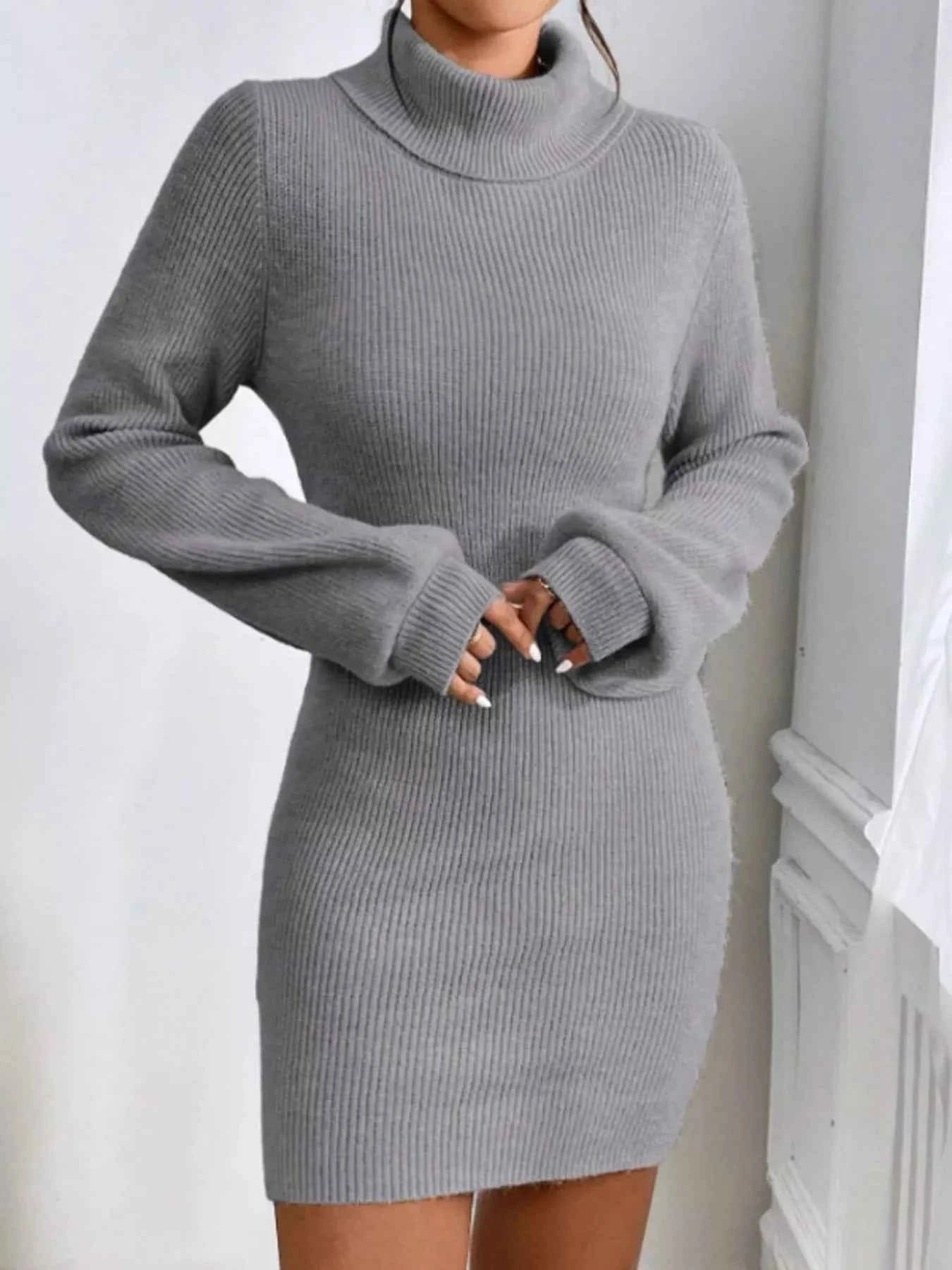 Turtleneck Ribbed Knit Sweater Dress