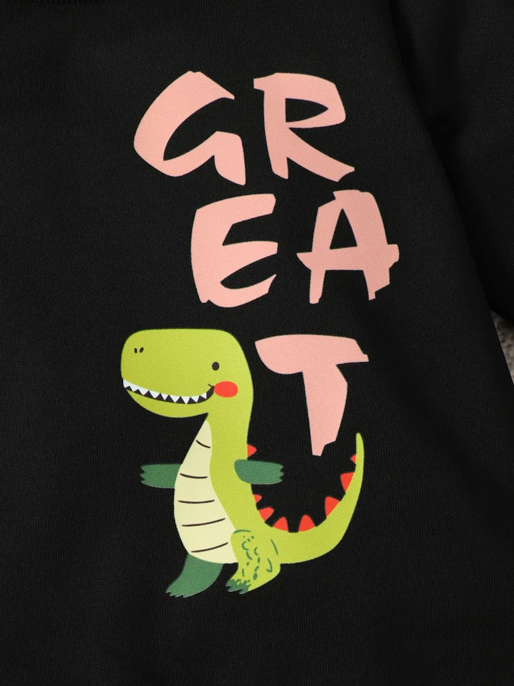 Children's Dinosaur Graphic Sweatshirt and Pants Set.