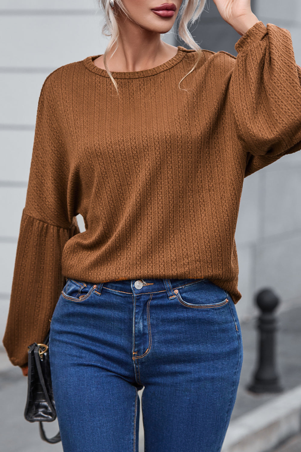 Faux Knit Jacquard Puffy Long Sleeve Top Dear-Lover Dropshipping