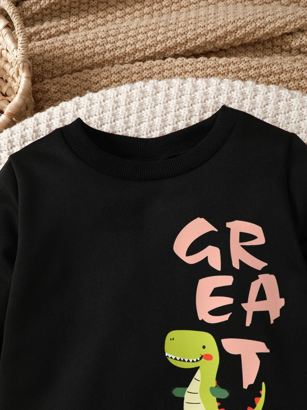 Children's Dinosaur Graphic Sweatshirt and Pants Set.